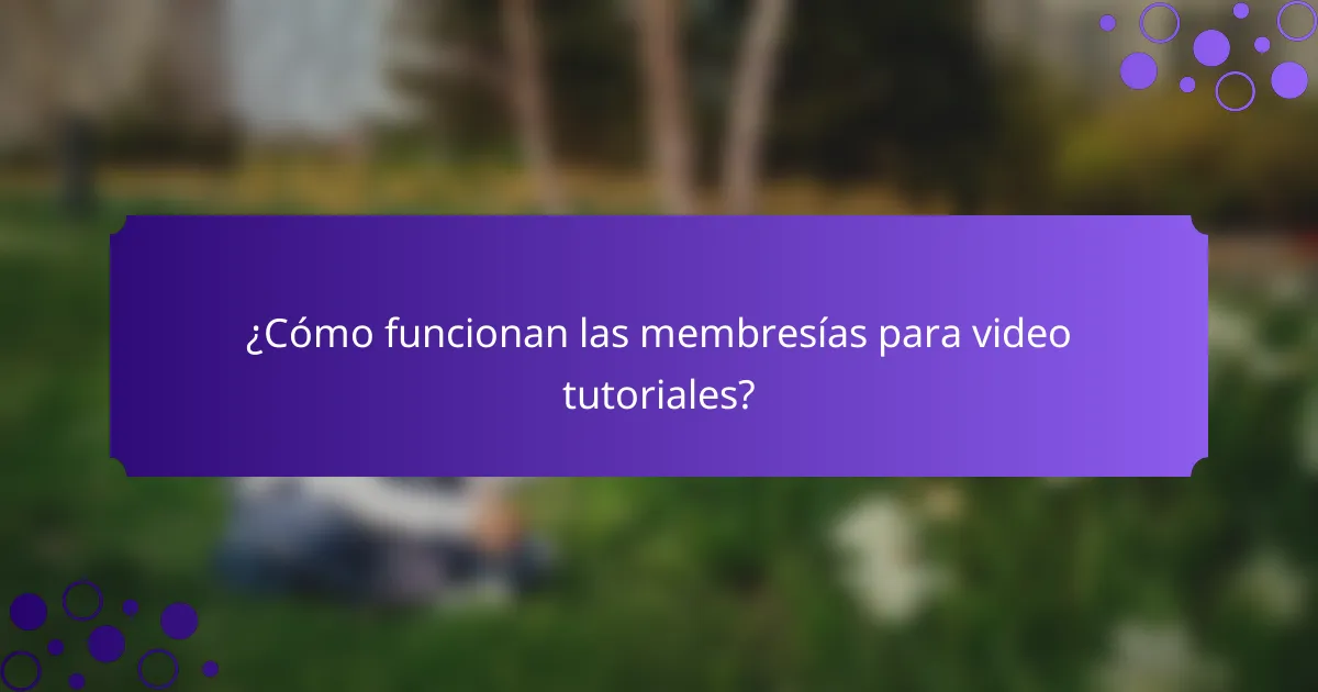 ¿Cómo funcionan las membresías para video tutoriales?