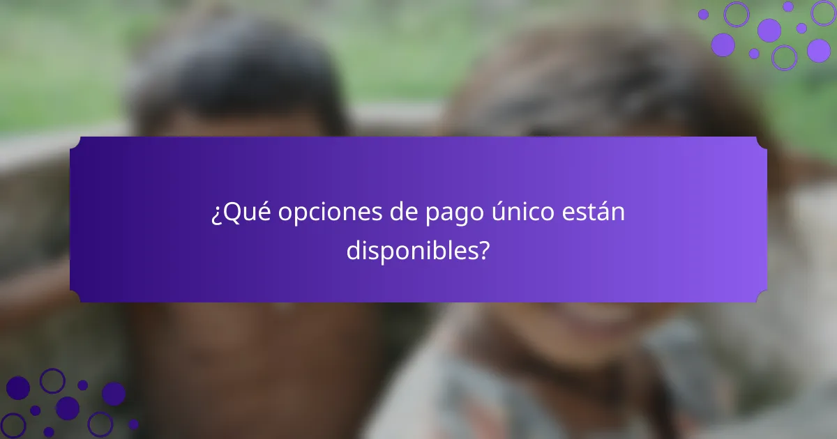 ¿Qué opciones de pago único están disponibles?